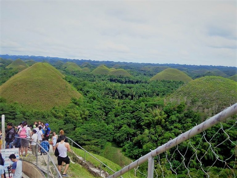 View from Chocolate Hills Viewing Deck