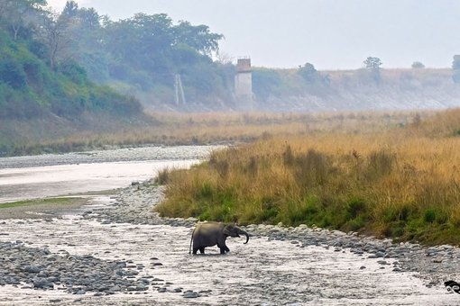 The land of Bagh - Corbett (India)