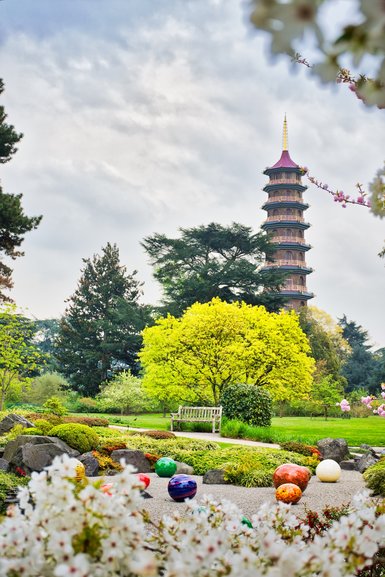 Kew Gardens is a great place to photograph. Like many people, I took a photo from in front. I found this shot incorporating a bit of blossom and the Pagoda as well as the Niijima Floats just by walking around to the side.