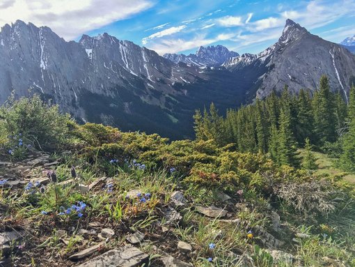 7 of the Most Underrated Hikes in the Canadian Rockies